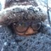 Wendy Thompson, Ed. D (@wendypurple407) Twitter profile photo Wendy Thompson, Ed. D (@wendypurple407) Twitter profile photo