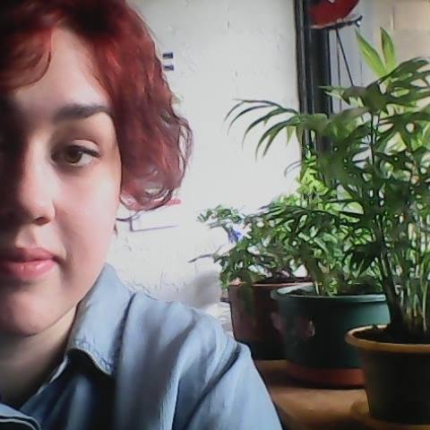 i dont have much to say that other people dont say better | asian studies major | she/hers | queer