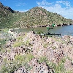 Pachito71587915's profile picture. manager en buscador de tesoros