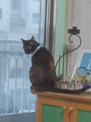 urakburak2's profile picture. 알티알티