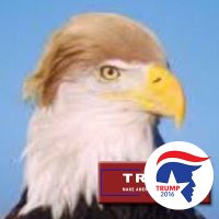 DeplorableTrumpEagle (@darkstream) 's Twitter Profile