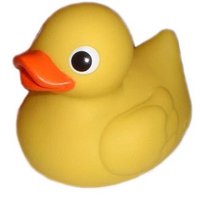 RUBBER DUCKY (@savage_ducky) 's Twitter Profile
