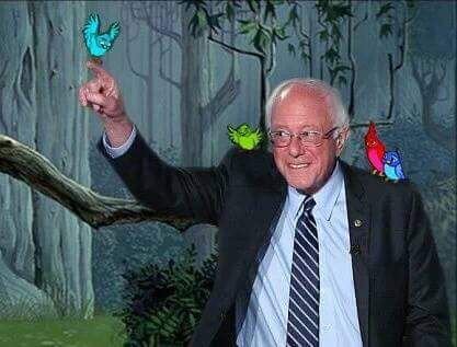 The Birdie Sanders
#FeelTheBern 
Bernie 2016