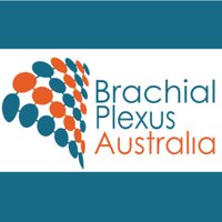 Brachial Plexus Aus (@_brachialplexus) 's Twitter Profile