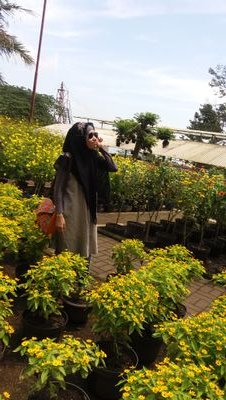 Line, Path, IG : fafaisyani