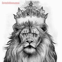 DBanevski's profile picture. 