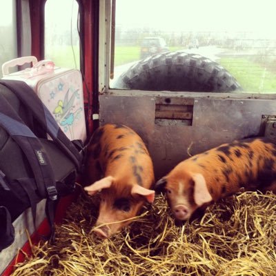 An Independent British Restaurant in Canterbury. Serving homegrown produce and livestock from our smallholding The Bunker.