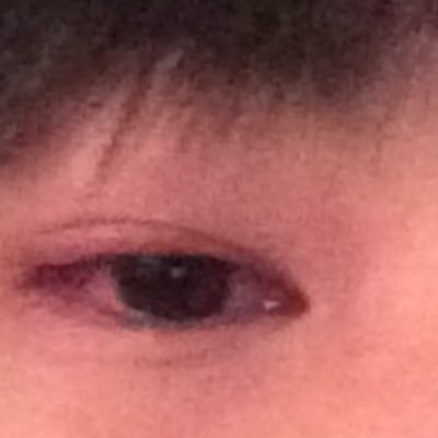 reiichi2369's profile picture. パズドラ大好き/お気軽にフォローしてください！笑