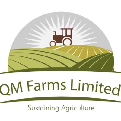 QMFarmsHolding's profile picture. We are an NGO that facilitate every thing about Agriculture in Nigeria, from advocacy to implementations. Holla if you want us to come talk or Do Agric