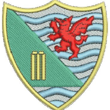 Official twitter account of Ynystawe CC's #U19T20 side