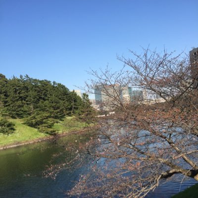 linglijun's profile picture. https://t.co/1e4ABaTGT8