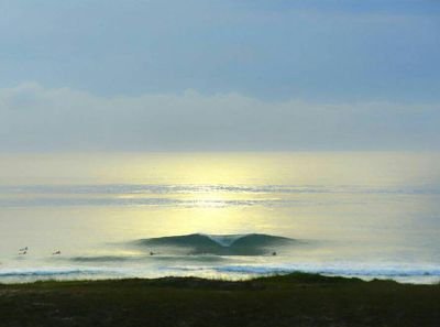 zelaomauricio's profile picture. 🌊🌤️