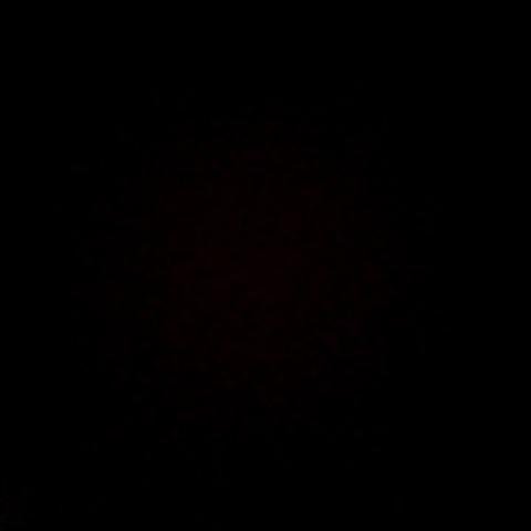 lucarpgscb's profile picture. selena + nat + chris et wes lpb, taytay lpb