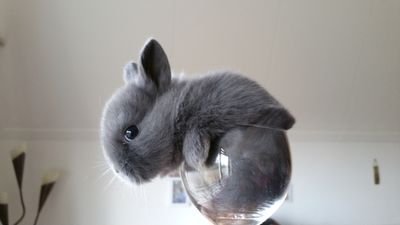 MyPassionOfLife's profile picture. Left Twitter.