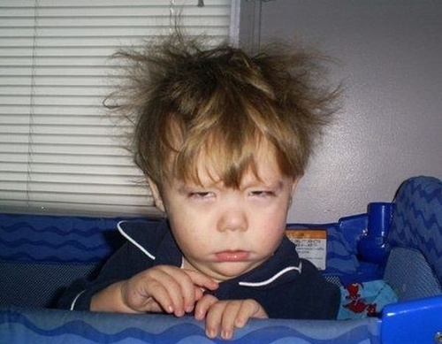 shorks's profile picture. ups ups