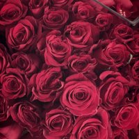 نورا (@nora14369) Twitter profile photo
