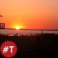 💙⚖️ Beatriz G.Boldova ⚖️💚 (@beatrizbeagarbo) 's Twitter Profile