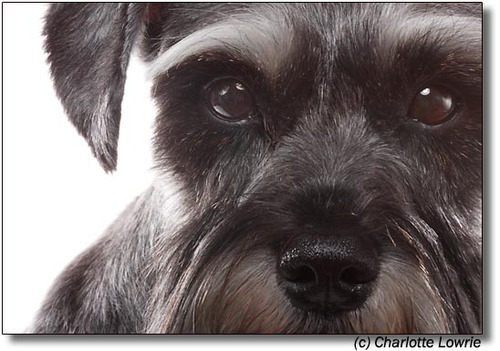 MisterJay31's profile picture. 