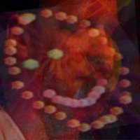 The Real Merkins (@therealmerkins) 's Twitter Profile Photo The Real Merkins (@therealmerkins) 's Twitter Profile Photo