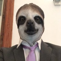 Charleston Sloths (@chssloths) 's Twitter Profile