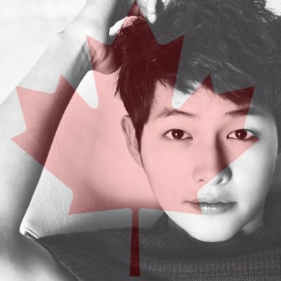 The first Canada-based Song Joong Ki fanpage. Follow us for latest and fun updates, Ki Aile! ♡ •Date Created: March 27, 2016•