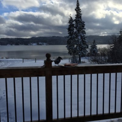 Leakypunt's profile picture. 