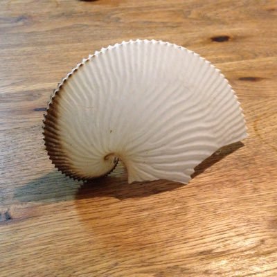 FooliShell's profile picture. 阿保なカイを想像したら多分そいつ