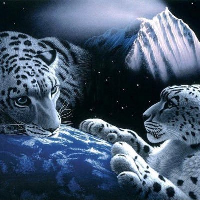 ZIiNPIkQMt1CYE4's profile picture. 