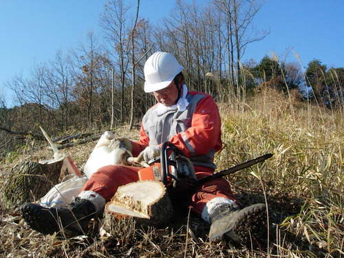乾しいたけ生産、農業や教育の未来構築、世界農業遺産の推進