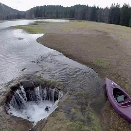 asustain's profile picture. 