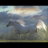 منال العتيبي (@mn_457) 's Twitter Profile