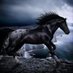 alwaheed (@alwaheed6969) Twitter profile photo alwaheed (@alwaheed6969) Twitter profile photo