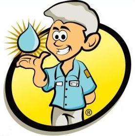 If anyone else cleans your rug, IT'S STILL DIRTY! We also dry wet buildings and clean carpets!