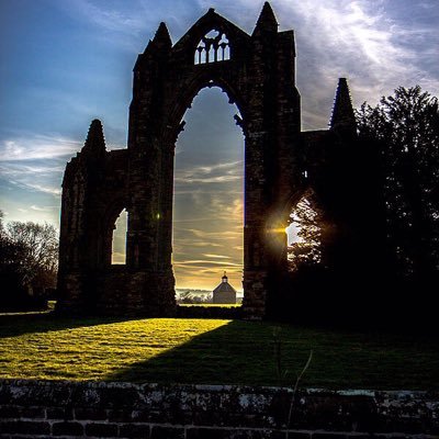 DetectingMad's profile picture. 