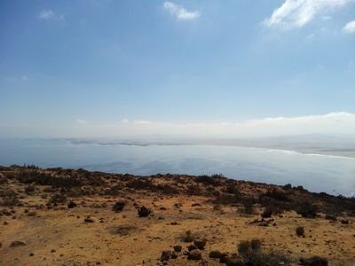 Mononbetoben's profile picture. 