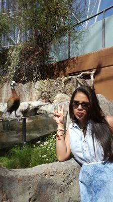 MajoPerdomo's profile picture. Si ha de ser, que sea lo que quiera Dios.