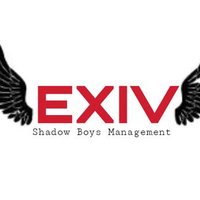 EXIV (@exlite_ofc) 's Twitter Profile