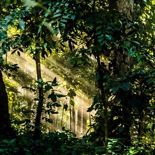 PAKILWHITTLER's profile picture. 