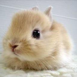 av4545love's profile picture. 業者以外は気が付いたときフォロバします