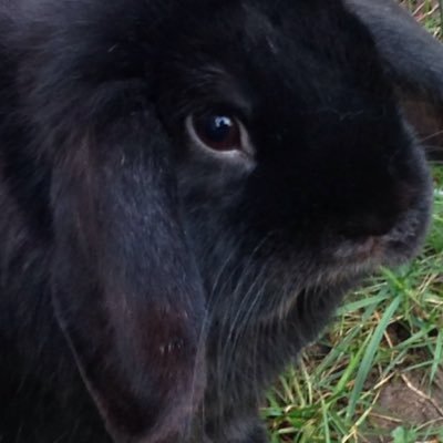 69phantrash's profile picture. 