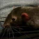 Jamie Bartholomew - @curbdogsk8r - Twitter