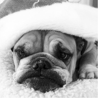 HAMiddleton4's profile picture. 