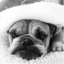 Hunter Middleton - @HAMiddleton4 - Twitter