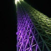 みなとのいるか (@minatonoiruka) Twitter profile photo