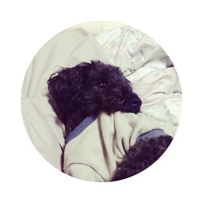 yuirun1222's profile picture. 使わない￤ ▷ @yuiko_1222