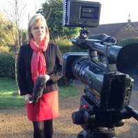 Julie Maddocks (@juliejambuster) 's Twitter Profile