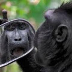 Setholici's profile picture. I'm probably a bitch most of the time because life sucks ass.