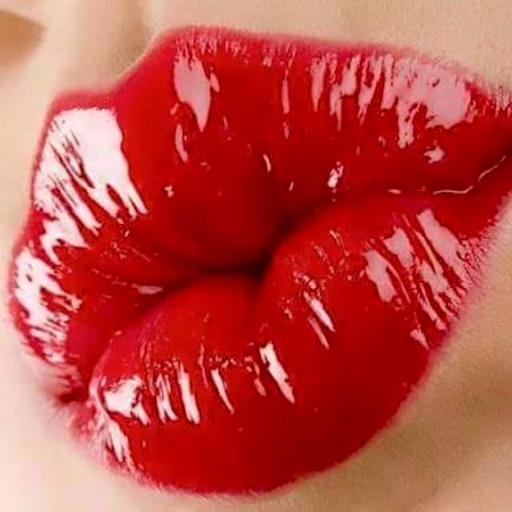 xtixmixtodos's profile picture. “Una leona no se gira cuando una perra ladra”