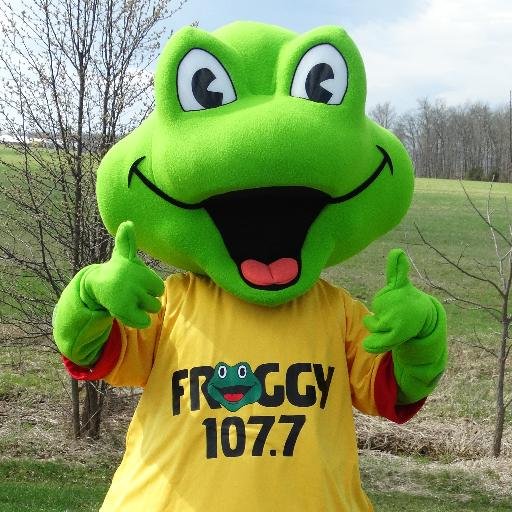 Froggy 107.7 (WGTY)