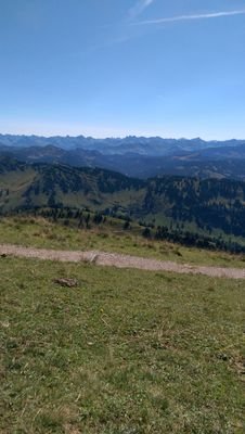 AnkeBuehler's profile picture. 